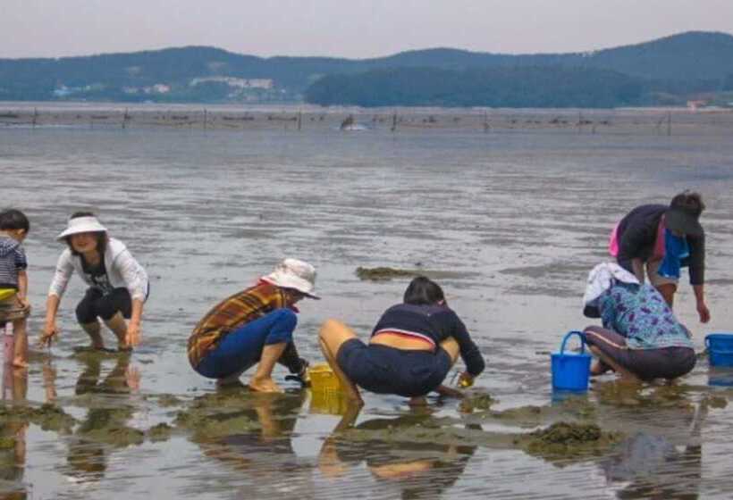 Taean Yetjip Hwangtobang Pension