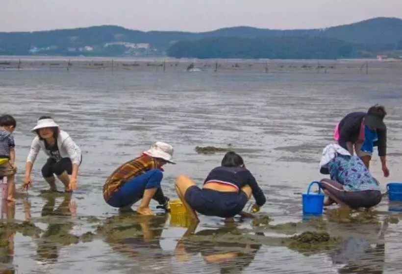 Taean Yetjip Hwangtobang Pension