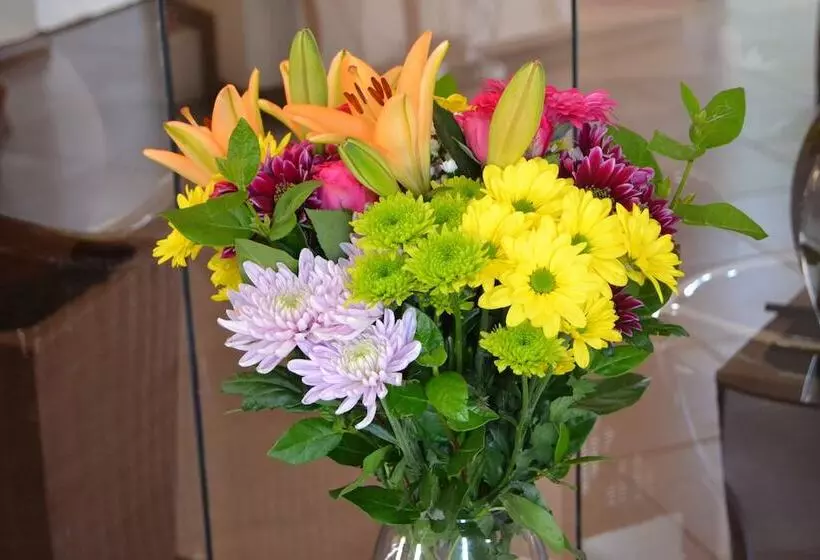 تختخواب و صبحانه The Capital Guest House