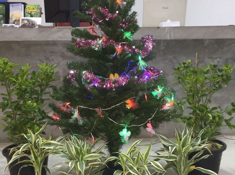 Cercle D'angkor Villa - Hostel