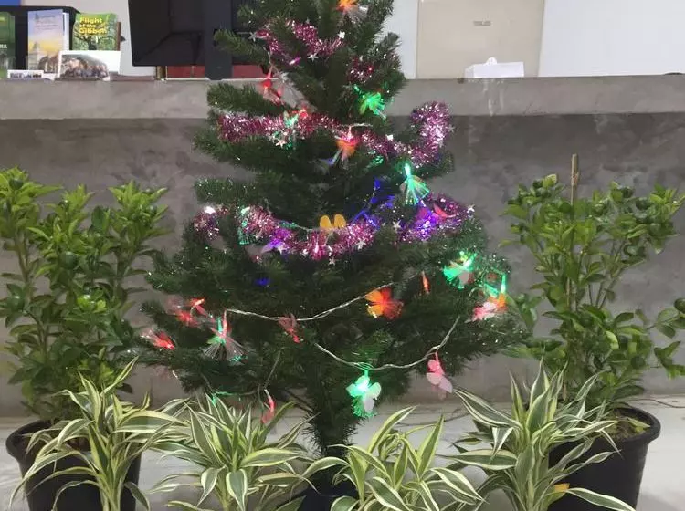 Cercle D'angkor Villa - Hostel