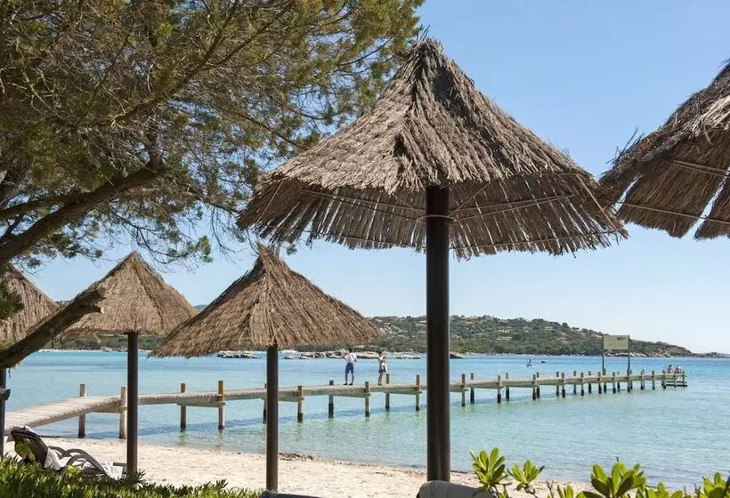 Hotel Hôtel & Lodges Moby Dick