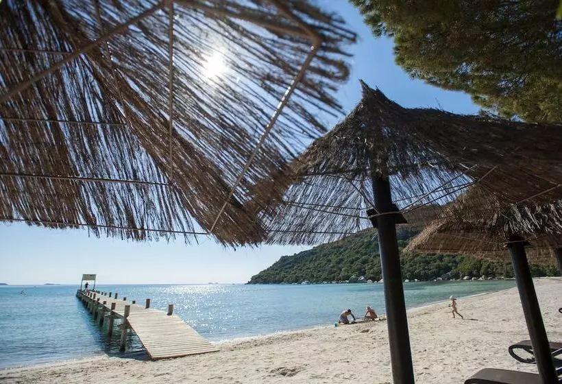 Hotel Hôtel & Lodges Moby Dick