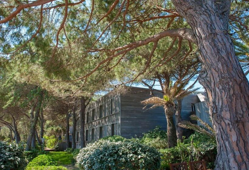 فندق Hôtel & Lodges Moby Dick