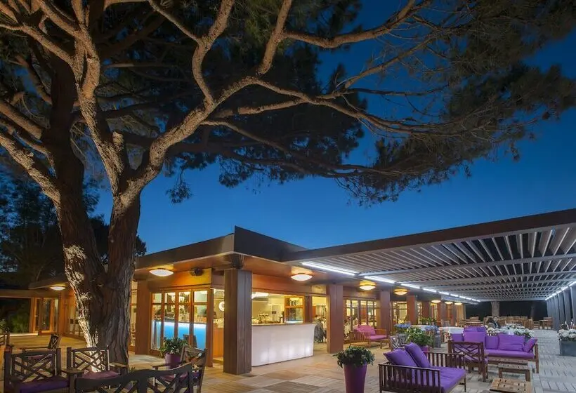 Hotelli Hôtel & Lodges Moby Dick