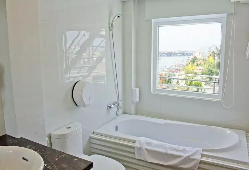 هتل International