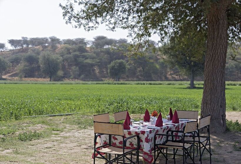 Отель Manvār Shergarh, The Desert Resort