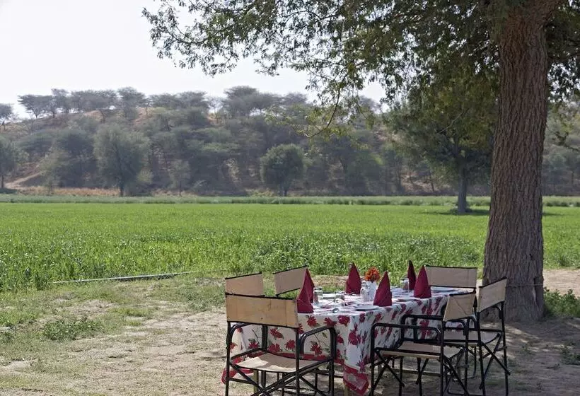 Отель Manvār Shergarh, The Desert Resort