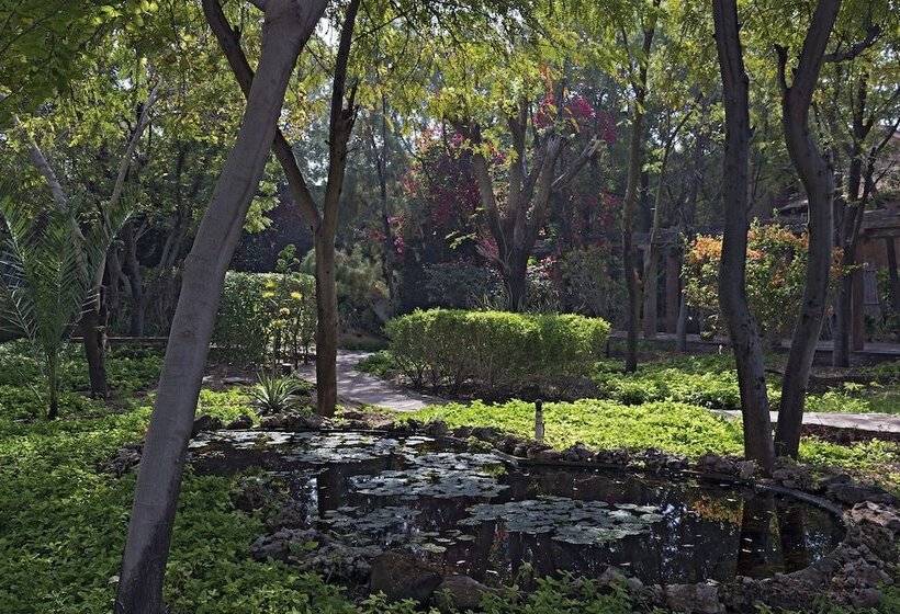 Hotel Manvār Shergarh, The Desert Resort