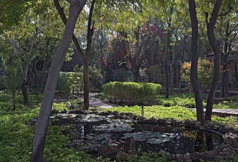 Отель Manvār Shergarh, The Desert Resort