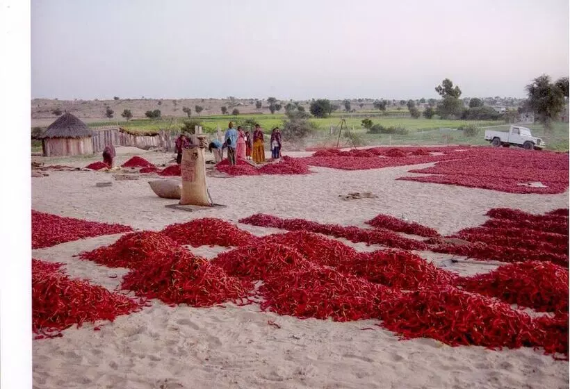 Отель Manvār Shergarh, The Desert Resort