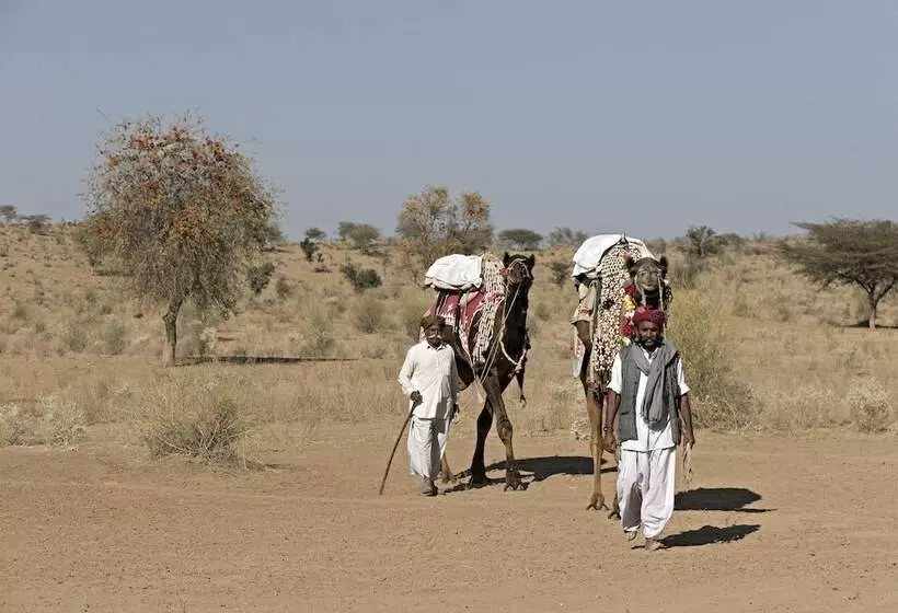 Отель Manvār Shergarh, The Desert Resort