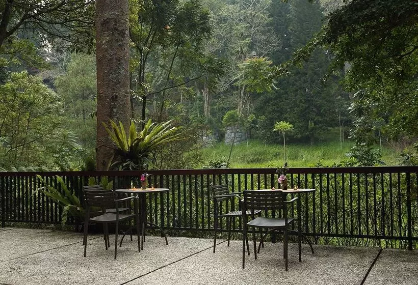 Hotel Villa Puncak6