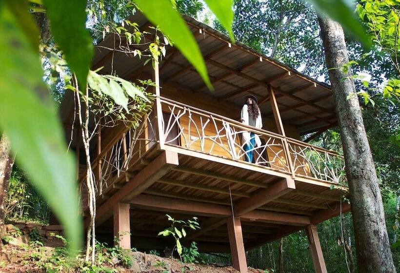 فندق Polwaththa Eco Lodges