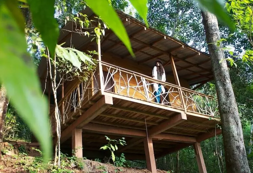 Hotel Polwaththa Eco Lodges