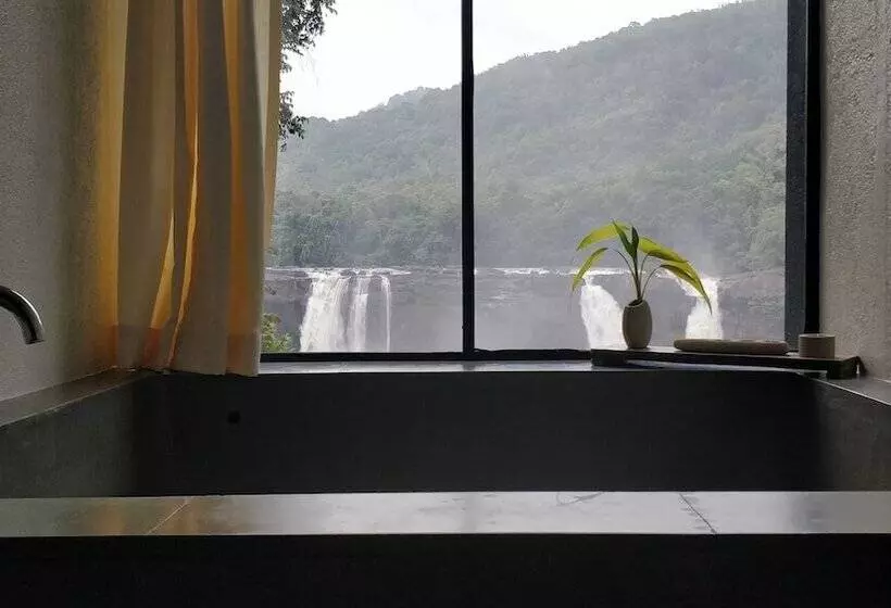 酒店 Rainforest Resort