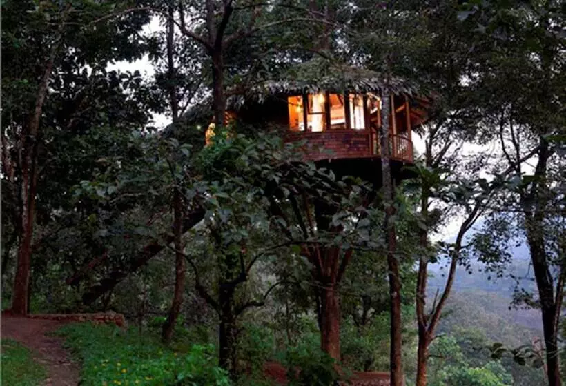 酒店 Rainforest Resort