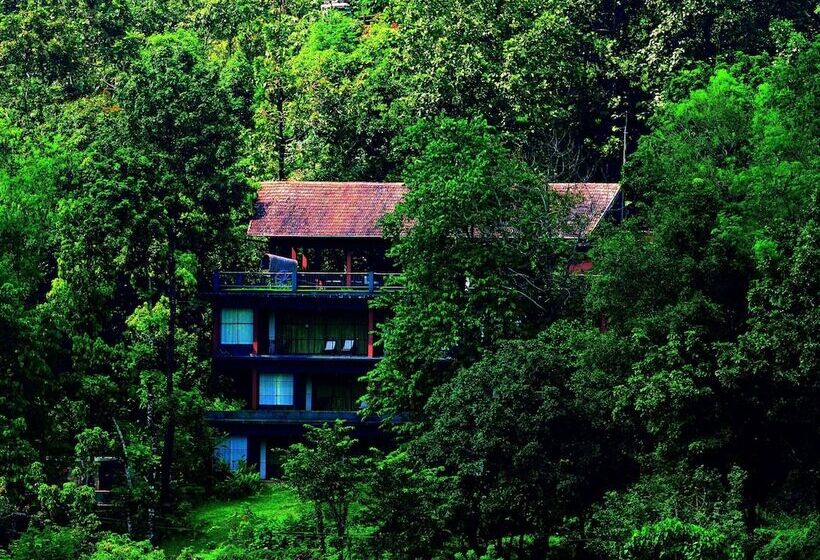 酒店 Rainforest Resort