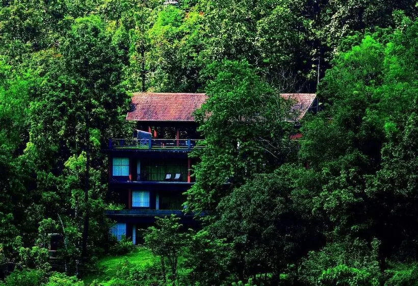 酒店 Rainforest Resort