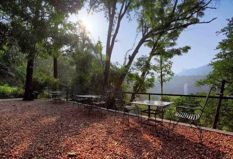 酒店 Rainforest Resort