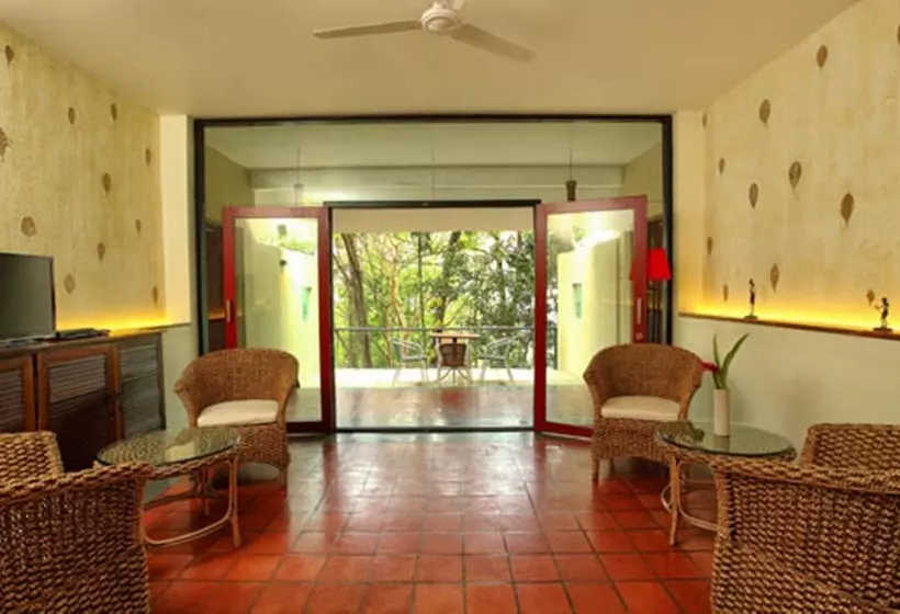 酒店 Rainforest Resort