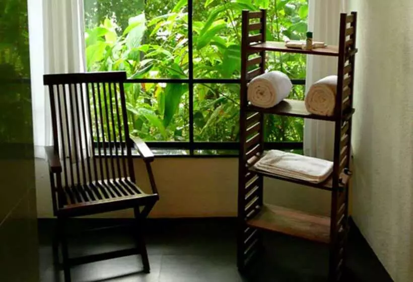 酒店 Rainforest Resort