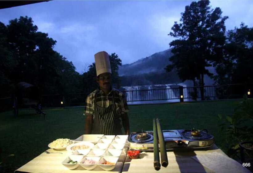 酒店 Rainforest Resort