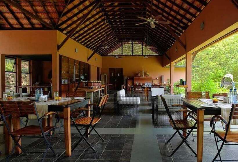 酒店 Rainforest Resort