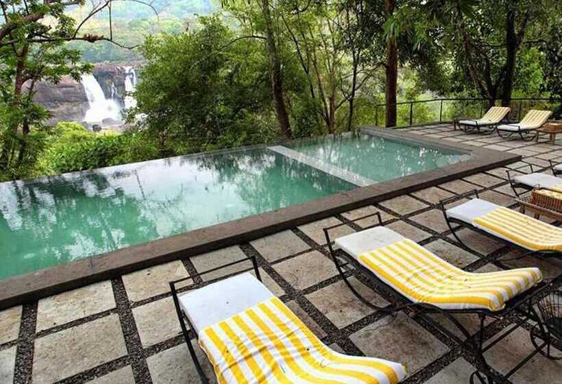 酒店 Rainforest Resort