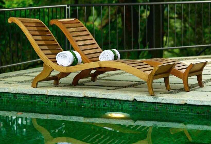 酒店 Rainforest Resort