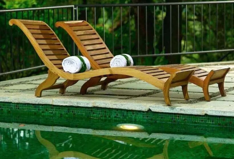 酒店 Rainforest Resort