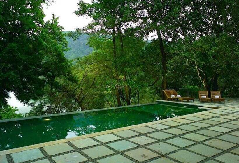 酒店 Rainforest Resort