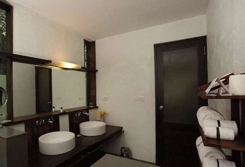 酒店 Rainforest Resort