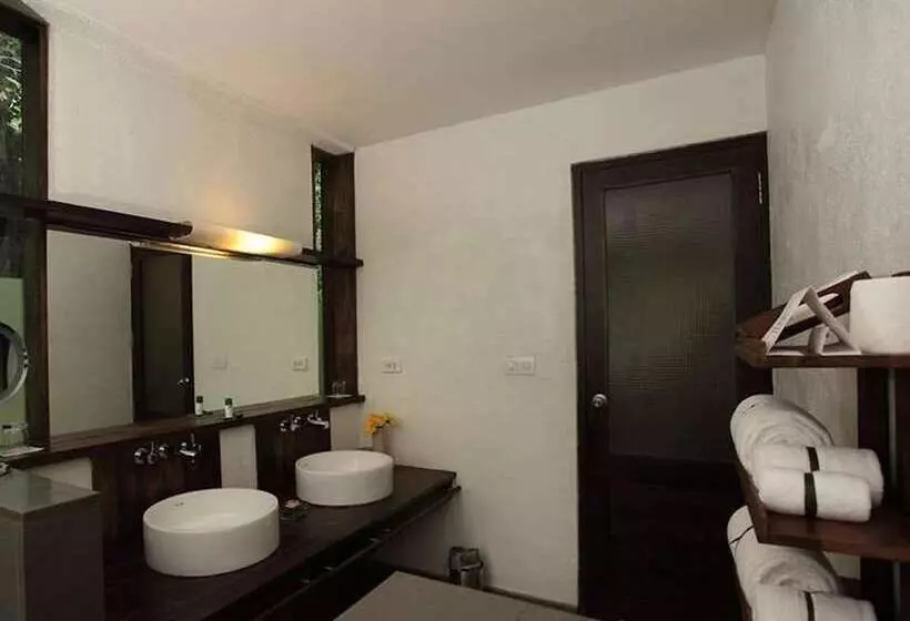 酒店 Rainforest Resort