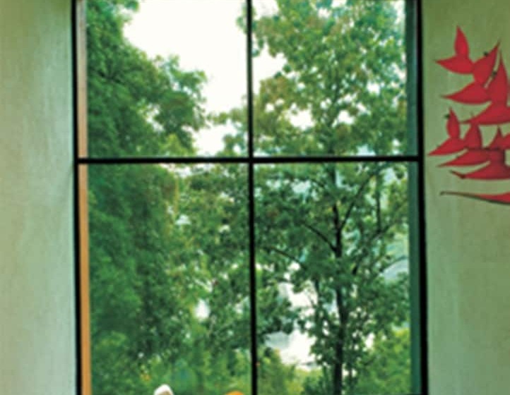 酒店 Rainforest Resort