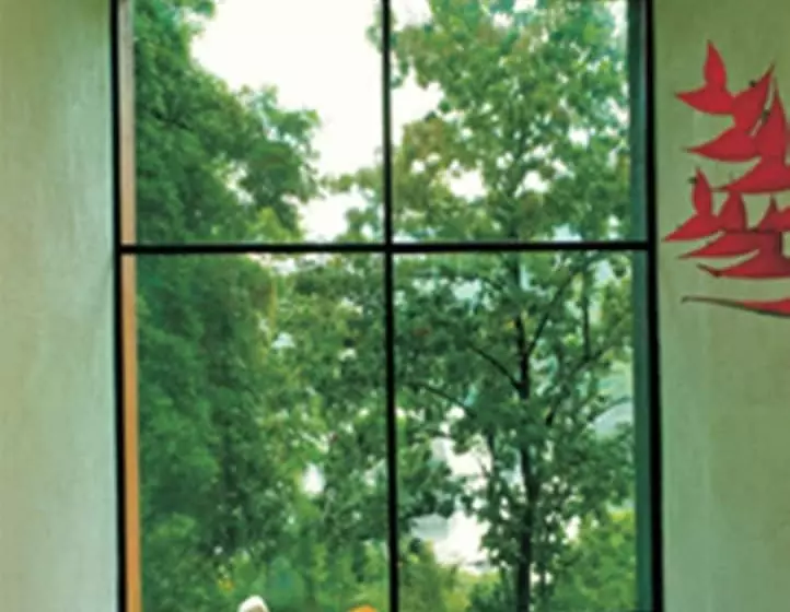 酒店 Rainforest Resort