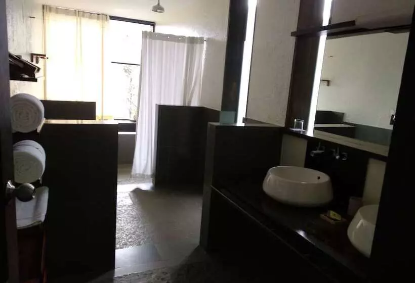 酒店 Rainforest Resort