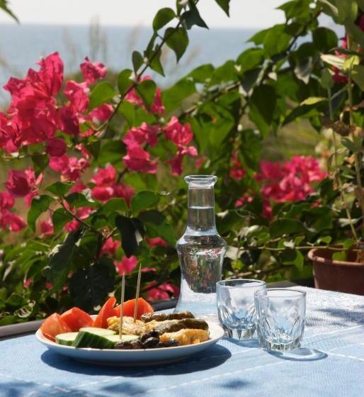 호텔 Sarikampos Beach