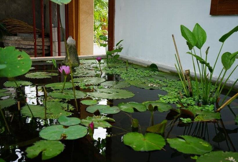 هتل Seasing Boutique