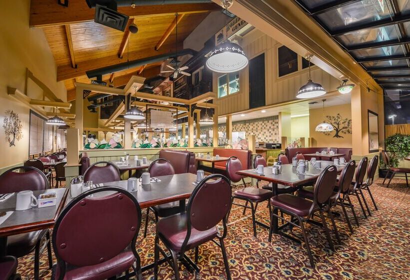 모텔 Canadas Best Value Inn Whitecourt