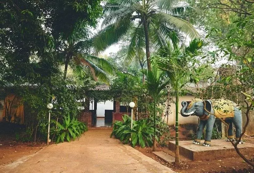 Retkeilymaja Natures Nest Resort