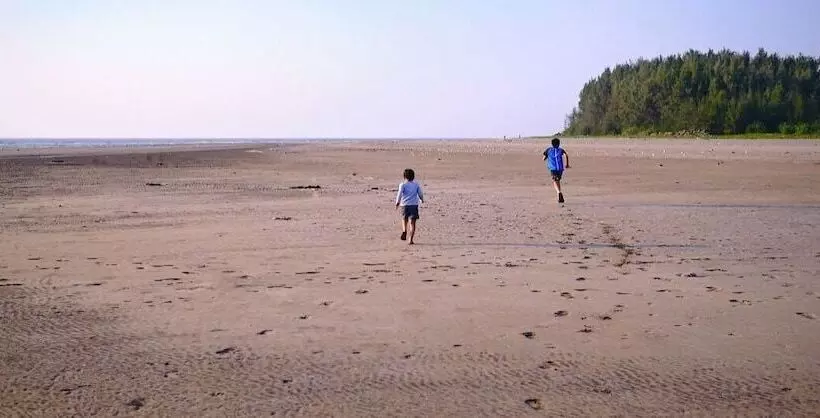 Retkeilymaja Natures Nest Resort