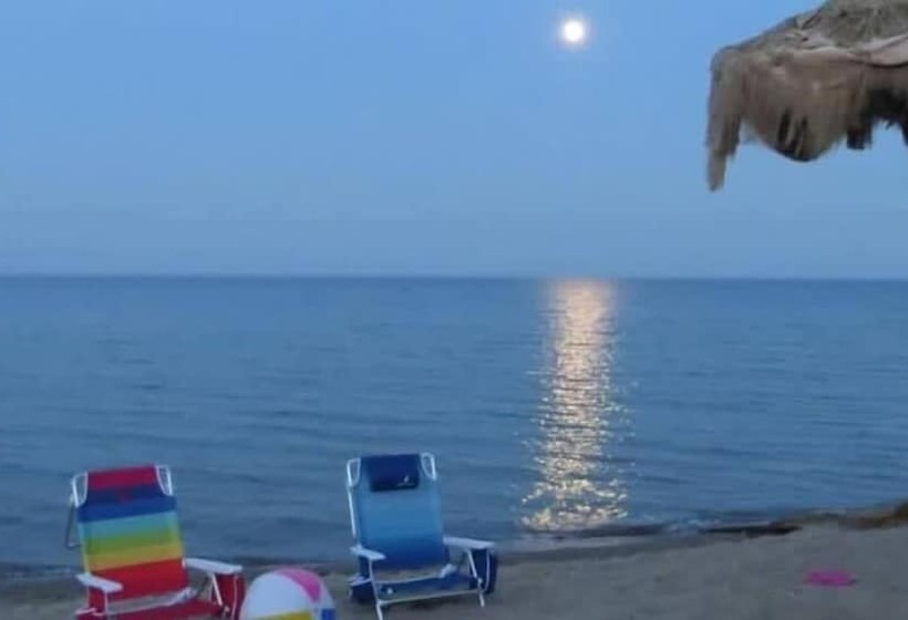 Aloha Beach Club Resort