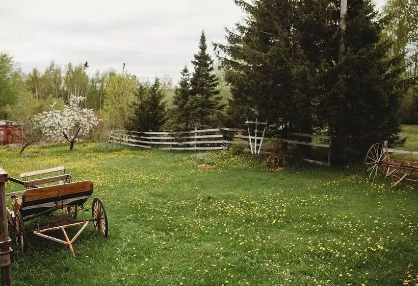 Aamiaismajoitus (B&B) Carriage House Inn Four And A Half Stars