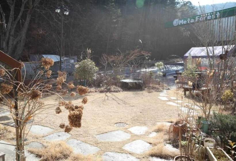 Damyang Saint Paul De Vence Pension