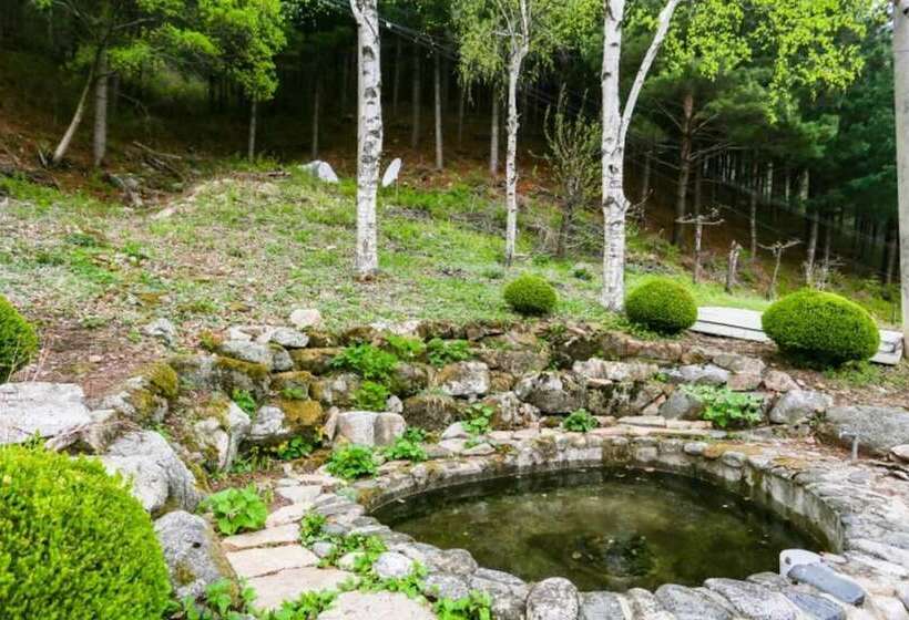 Geumdanggyegok Blue Mountain Pension