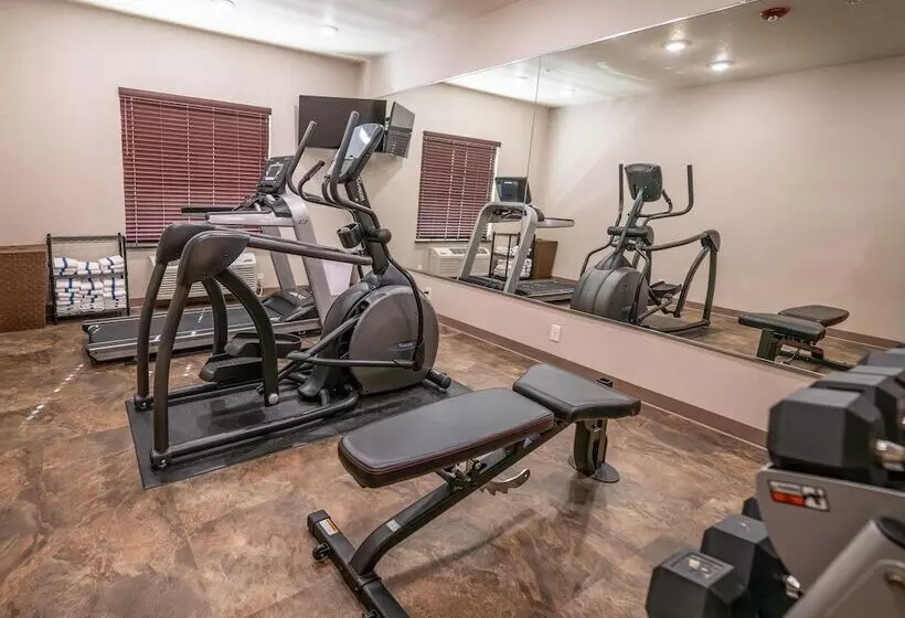 Cobblestone Hotel & Suites   Lamar