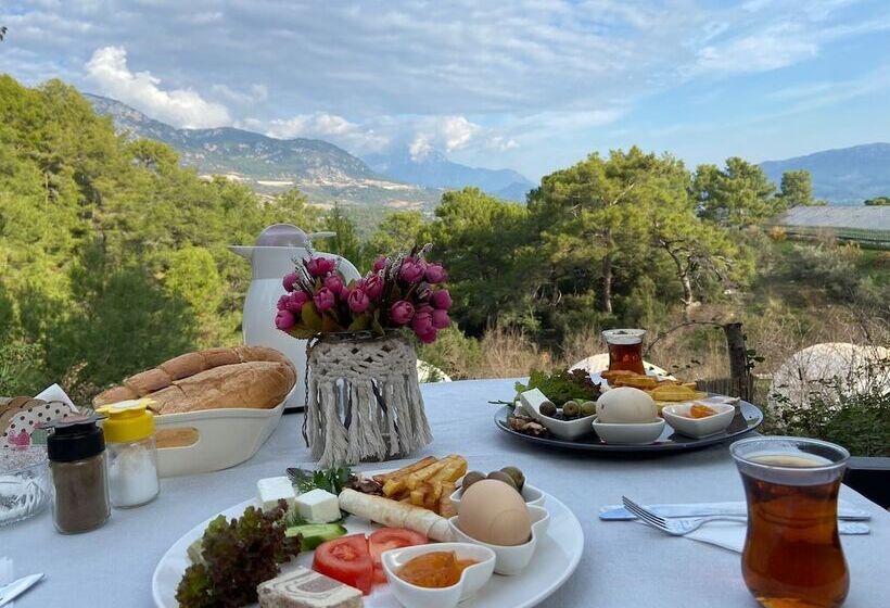 هتل Evergreen Glamping