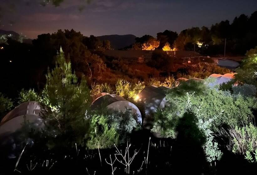 هتل Evergreen Glamping