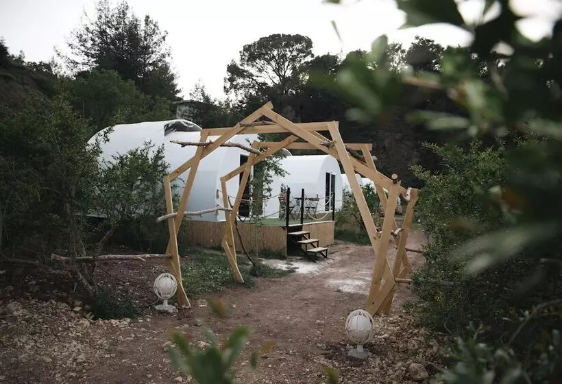 هتل Evergreen Glamping